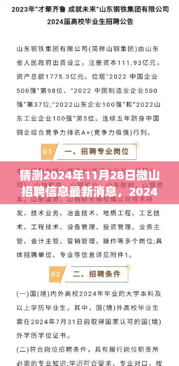 2024年11月28日微山科技招聘信息，预见未来，体验前沿科技魅力