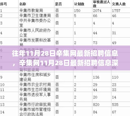 11月28日辛集网最新招聘信息深度解析与用户体验报告