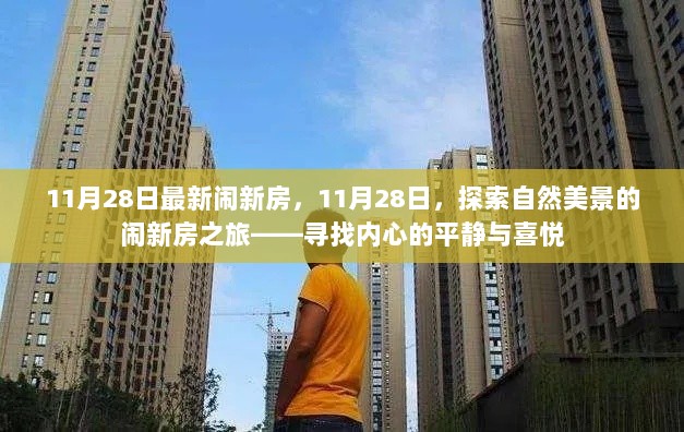 11月28日，探索自然美景的闹新房之旅，寻找内心的平静与喜悦之旅