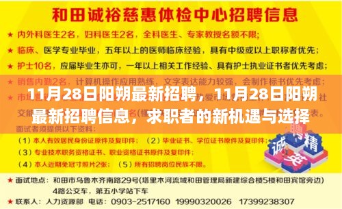 11月28日阳朔最新招聘信息，求职者的新机遇与选择