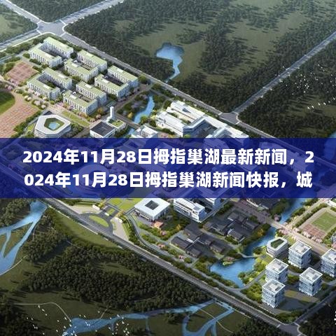 2024年11月28日拇指巢湖新闻快报，城市脉动与新闻聚焦