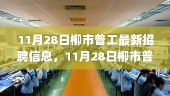 11月28日柳市普工最新招聘信息及求职步骤指南