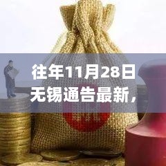 往年11月28日无锡通告解读，城市发展动态与民生关切的深度解析