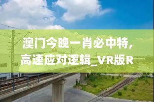 澳门今晚一肖必中特,高速应对逻辑_VR版RYG53.676