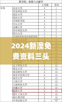 2024新澳免费资料三头67期,稳固执行方案计划_精致版HHJ48.862