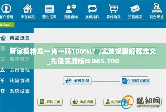 管家婆精准一肖一码100%l？,实地观察解释定义_先锋实践版ISD65.700