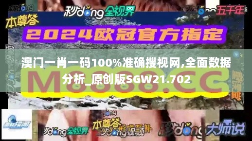 澳门一肖一码100%准确搜视网,全面数据分析_原创版SGW21.702