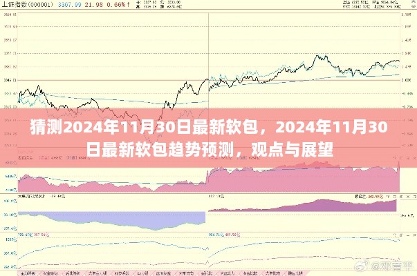 2024年11月30日最新软包趋势预测与展望，观点与市场动态分析