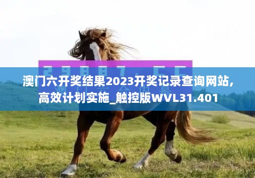 澳门六开奖结果2023开奖记录查询网站,高效计划实施_触控版WVL31.401