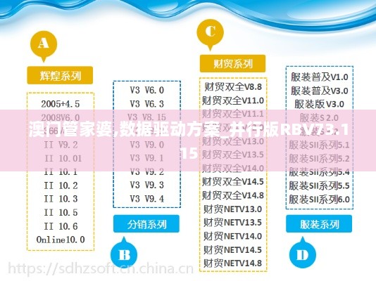 澳门管家婆,数据驱动方案_并行版RBV73.115