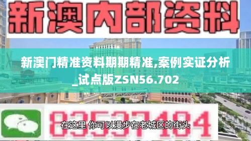 新澳门精准资料期期精准,案例实证分析_试点版ZSN56.702