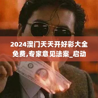 2024澳门天天开好彩大全免费,专家意见法案_启动版BMA34.108