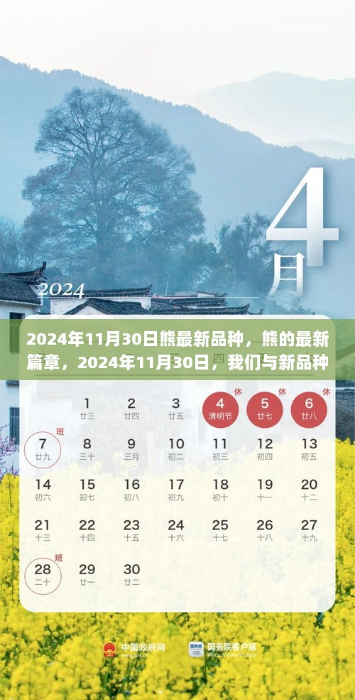 2024年11月30日，熊的全新篇章，共成长见证新品种熊的诞生