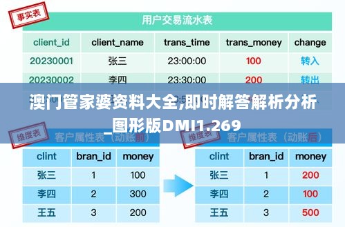 澳门管家婆资料大全,即时解答解析分析_图形版DMI1.269