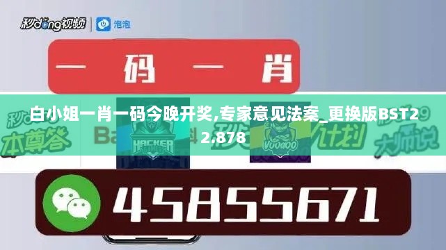 白小姐一肖一码今晚开奖,专家意见法案_更换版BST22.878