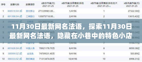 11月30日最新法语网名，探索隐藏在小巷的特色小店网名之魅力