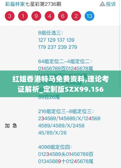 红姐香港特马免费资料,理论考证解析_定制版SZX99.156