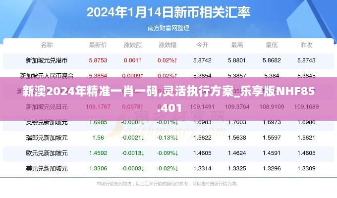 新澳2024年精准一肖一码,灵活执行方案_乐享版NHF85.401