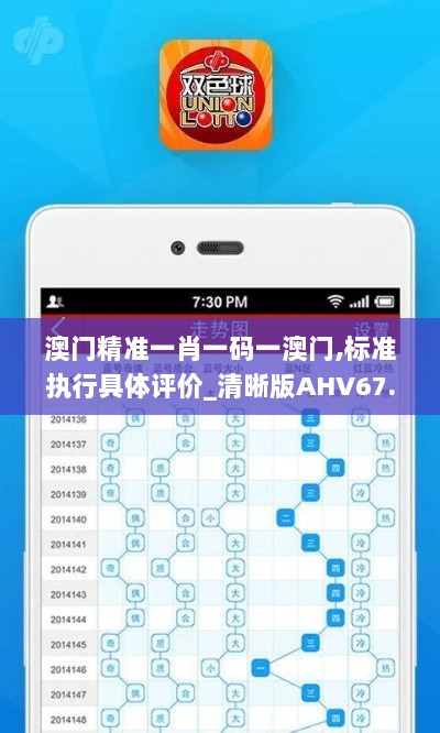 澳门精准一肖一码一澳门,标准执行具体评价_清晰版AHV67.825