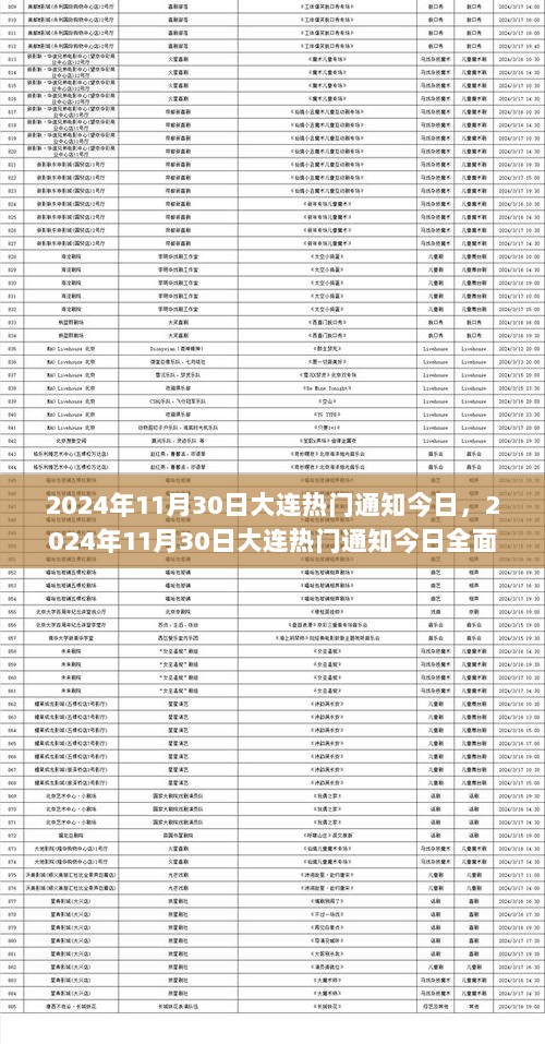 2024年11月30日大连热门通知全面解析