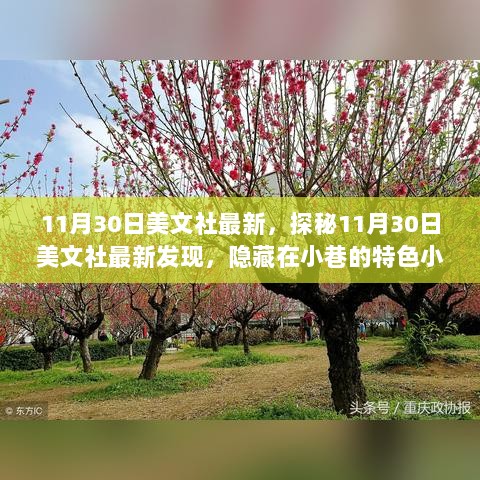 11月30日美文社探秘，隐藏在小巷的特色小店新发现