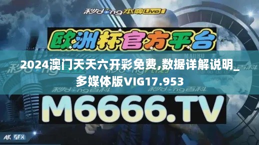 2024澳门天天六开彩免费,数据详解说明_多媒体版VIG17.953