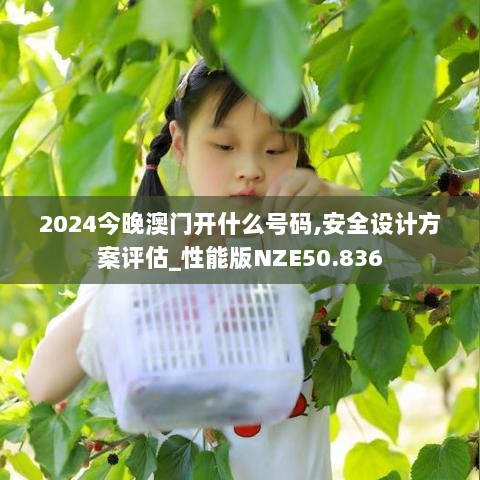 2024年11月 第24页