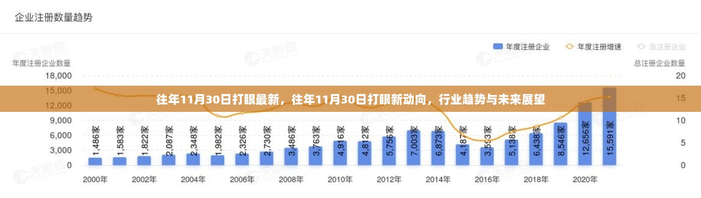 往年11月30日打眼行业趋势与未来展望的新动向