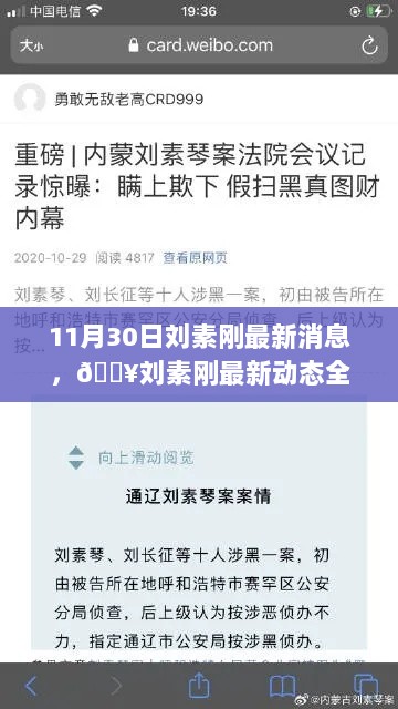 刘素刚最新动态全解析，11月30日最新消息解析