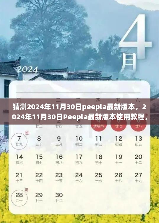 2024年Peepla最新版本使用教程，从入门到精通的详细步骤指南