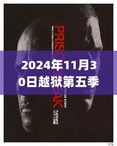 2024年越狱第五季，智慧与勇气较量的深度解析