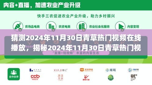 2024年11月30日青草热门视频在线播放揭秘，背后的神秘小店之谜