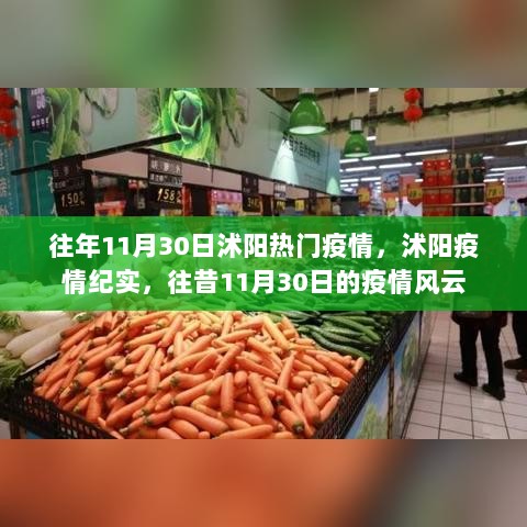 沭阳疫情纪实，往年11月30日的疫情风云回顾