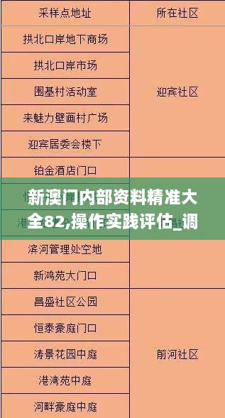 新澳门内部资料精准大全82,操作实践评估_调整版BHQ55.576