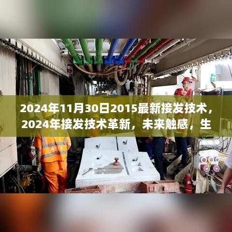 2024年12月1日 第113页