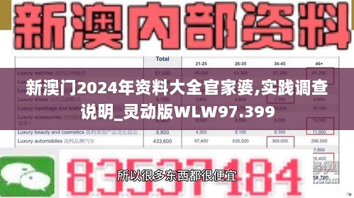 新澳门2024年资料大全官家婆,实践调查说明_灵动版WLW97.399