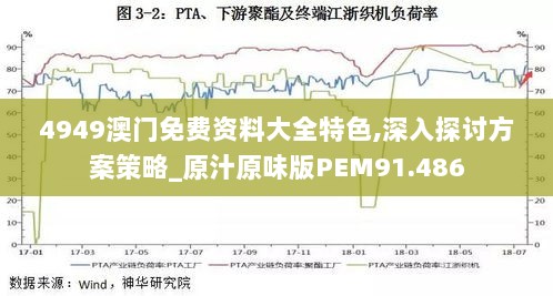 4949澳门免费资料大全特色,深入探讨方案策略_原汁原味版PEM91.486