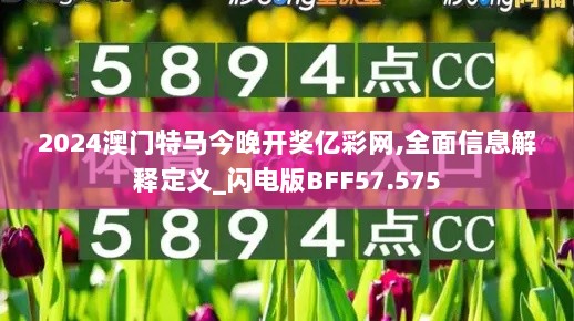 2024澳门特马今晚开奖亿彩网,全面信息解释定义_闪电版BFF57.575