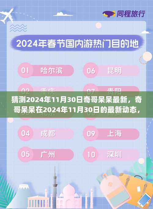 2024年11月30日奇哥呆呆最新动态预测与解析