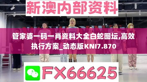 管家婆一码一肖资料大全白蛇图坛,高效执行方案_动态版KNI7.870