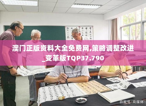 澳门正版资料大全免费网,策略调整改进_变革版TQP37.790