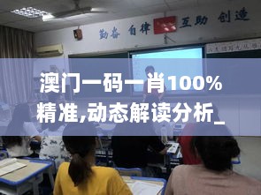 澳门一码一肖100%精准,动态解读分析_经典版VNP6.722