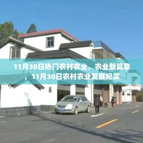 11月30日农村农业新篇章，农业发展纪实与展望