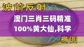 澳门三肖三码精准100%黄大仙,科学分析严谨解释_定制版EAR49.744