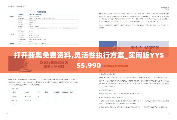 打开新奥免费资料,灵活性执行方案_实用版YYS55.990