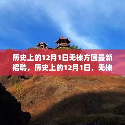 历史上的12月1日，无棣方圆盛大招聘及其深远影响揭秘