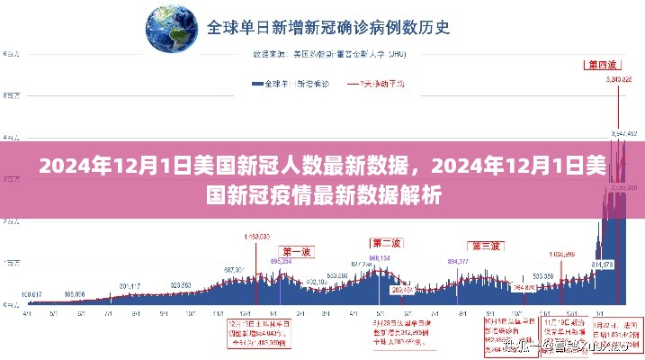 2024年12月1日美国新冠疫情最新数据解析与人数统计