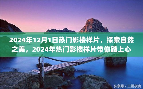 2024年热门影楼样片，探索自然之美的心灵之旅