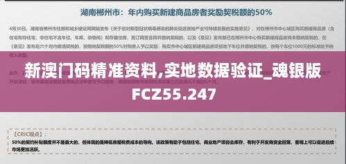 新澳门码精准资料,实地数据验证_魂银版FCZ55.247