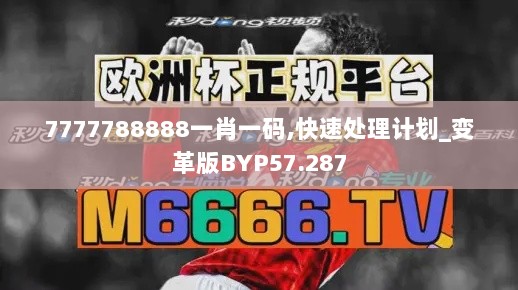 7777788888一肖一码,快速处理计划_变革版BYP57.287